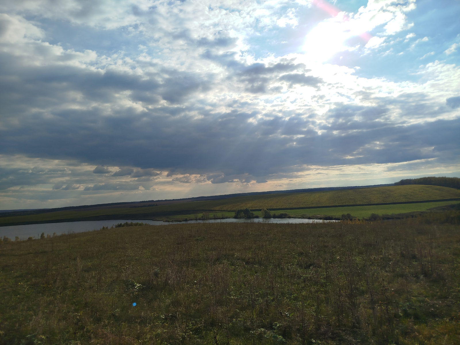 Ак торна каргышы