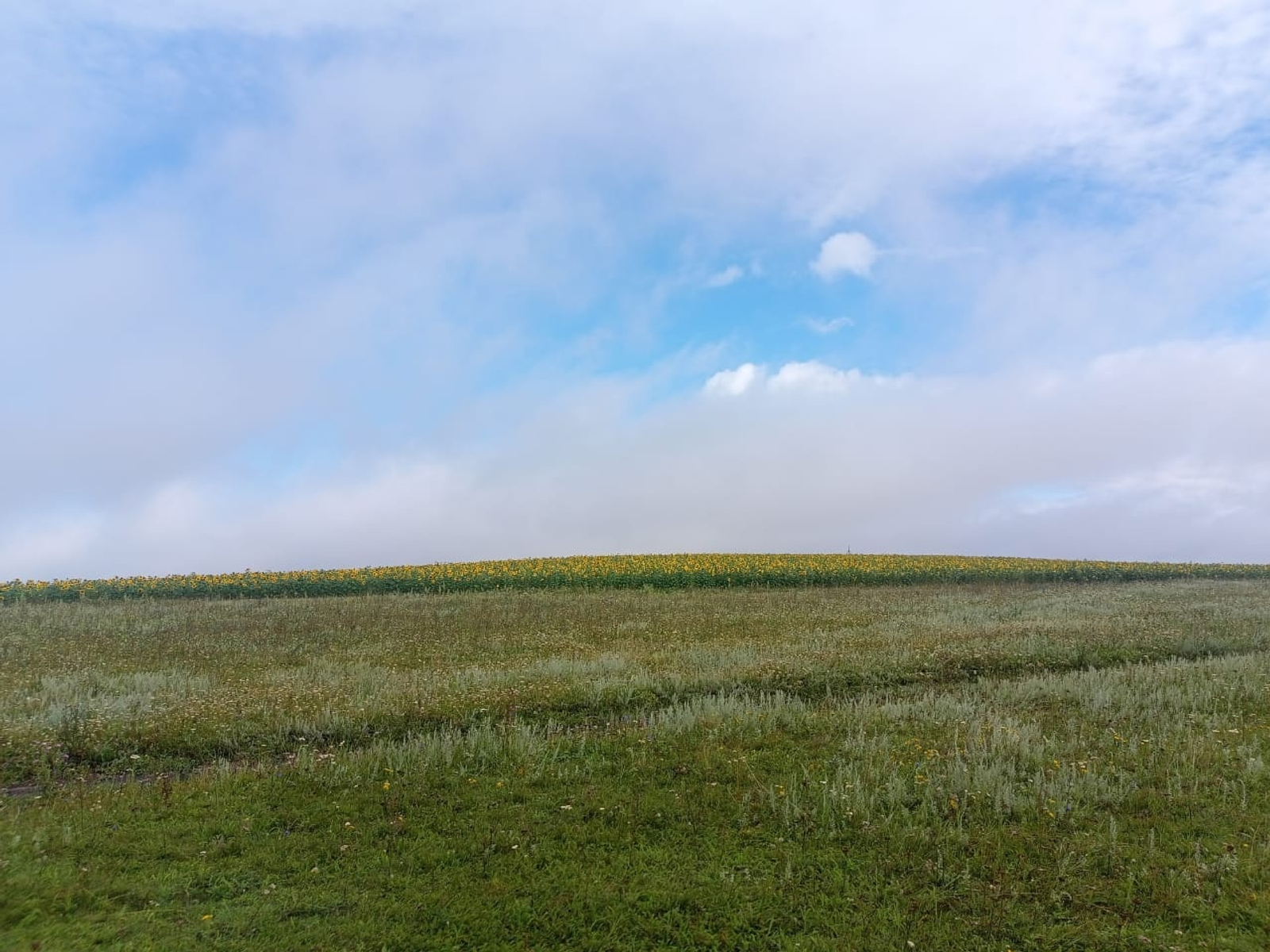 Элеккечә түгел без генә...