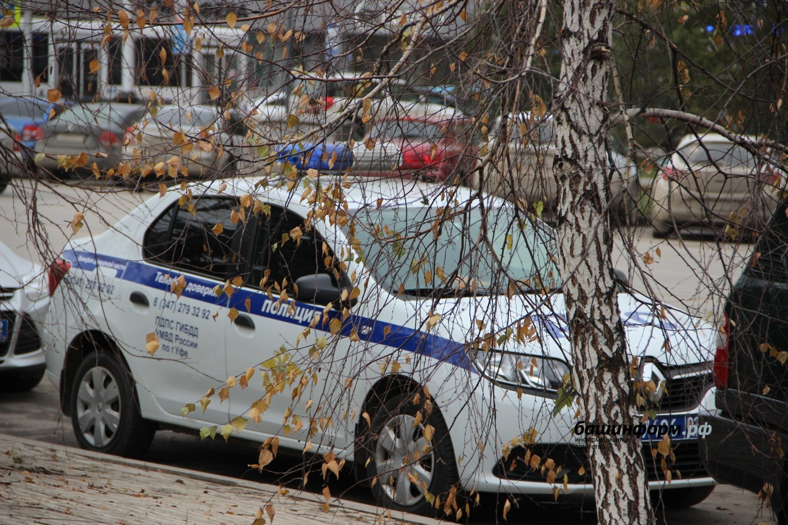 Госавтоинспекция Башкирии усилит контроль на дорогах